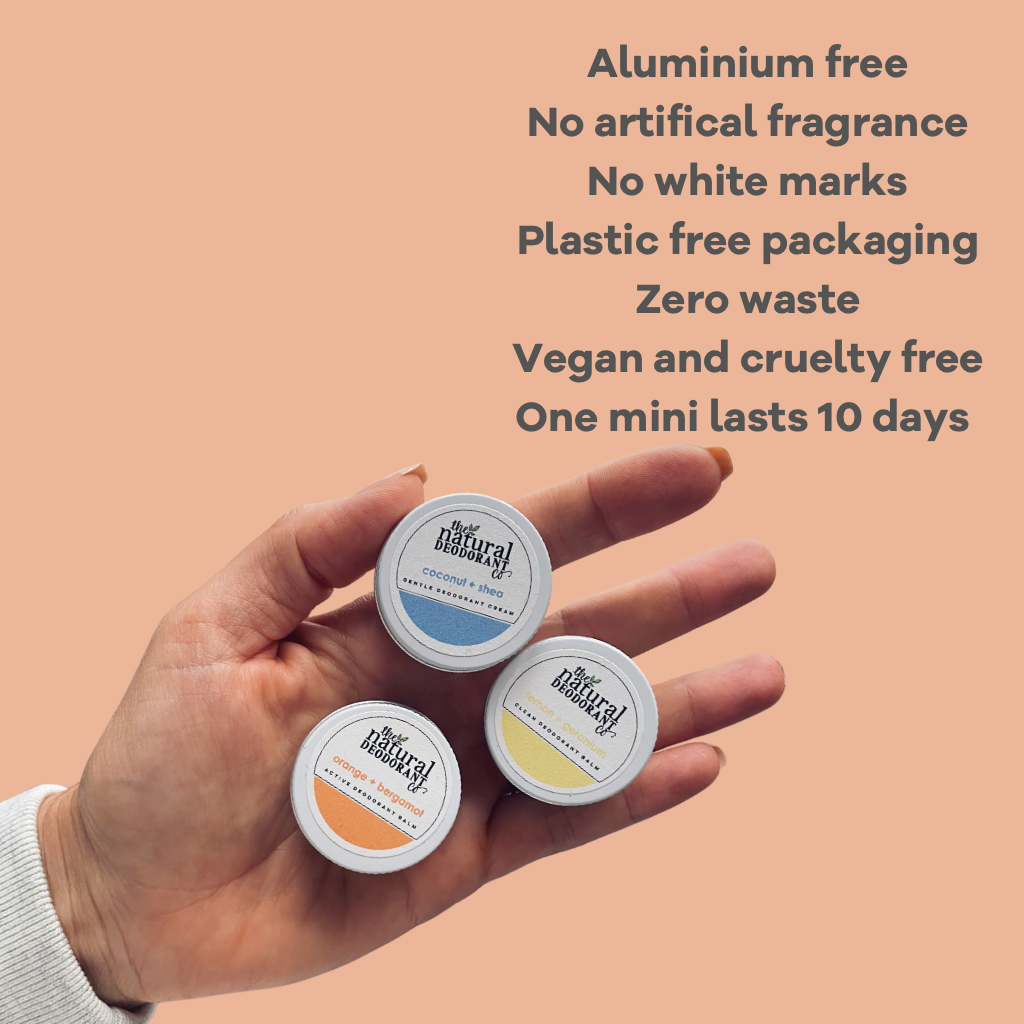 Clean Beauty Basics Bundle