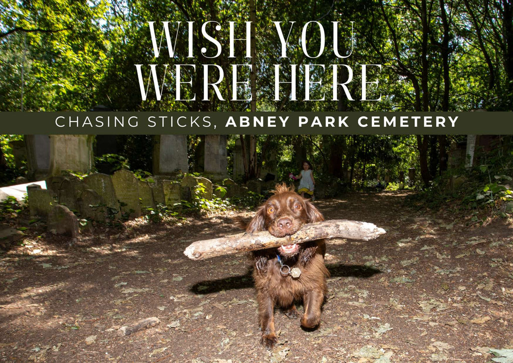 East London Postcard Adventure  - Pack of 6