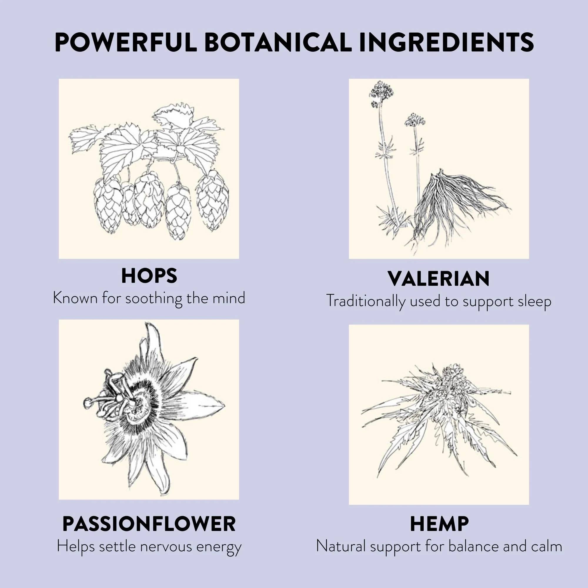 Natural Sleep Patches with Valerian, Hops, Passionflower