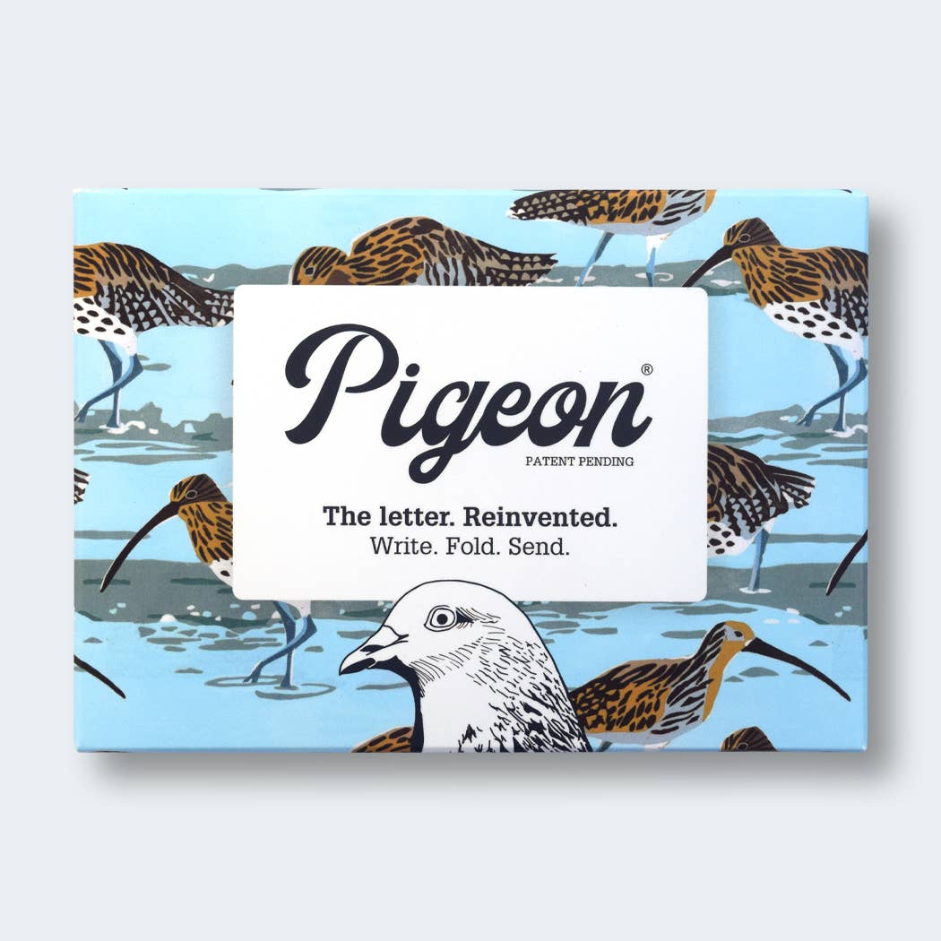 Pigeon letter writing set packaging with bird illustrations on a light blue background