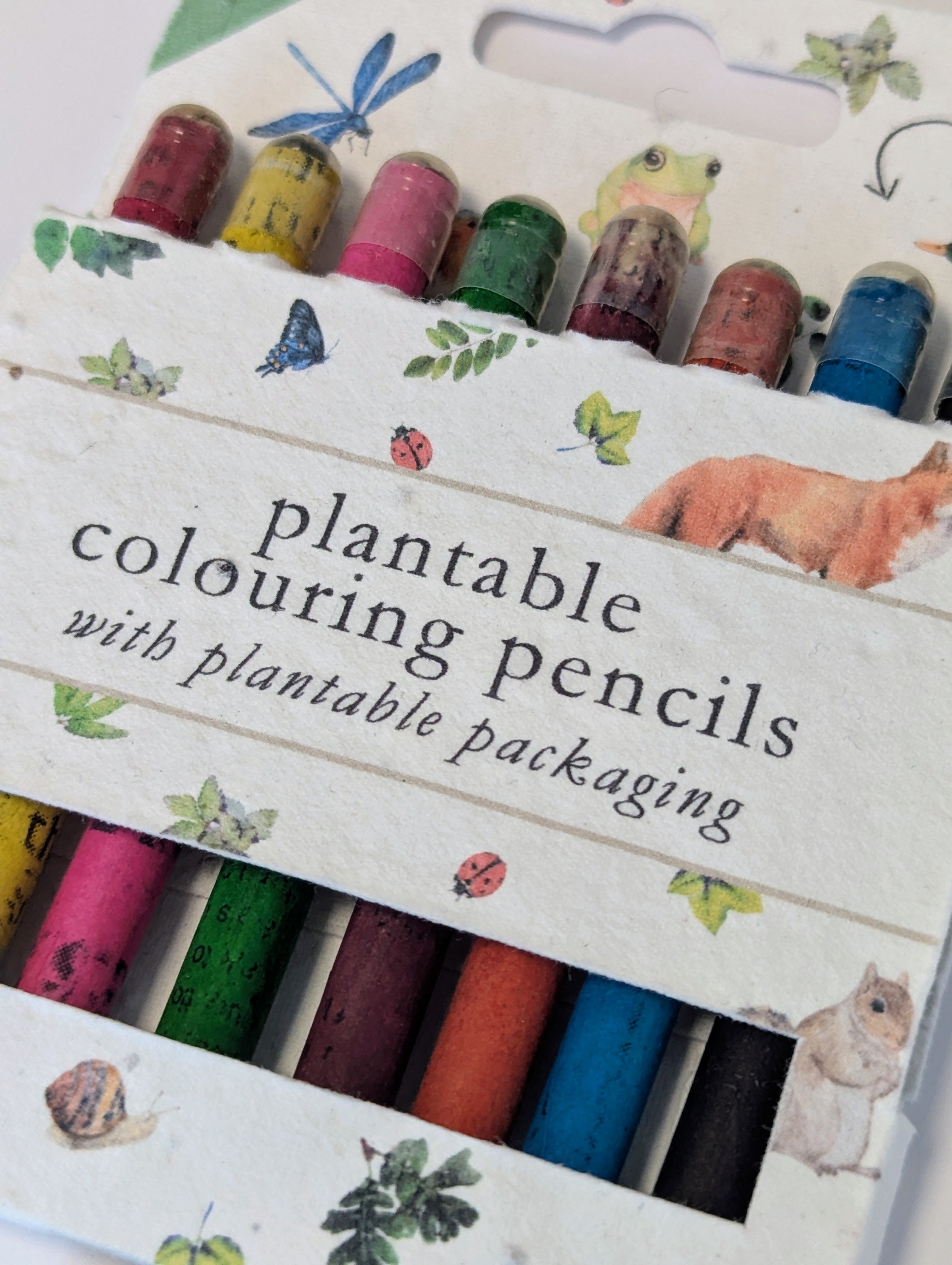 Kids Colouring Correspondence Kit: London Postcards + Plantable Coloured Pencils + Sharpener