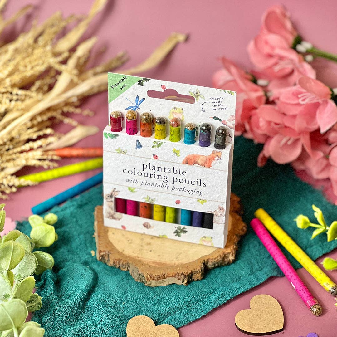 London Colouring Postcards + Plantable Pencils + Sharpener