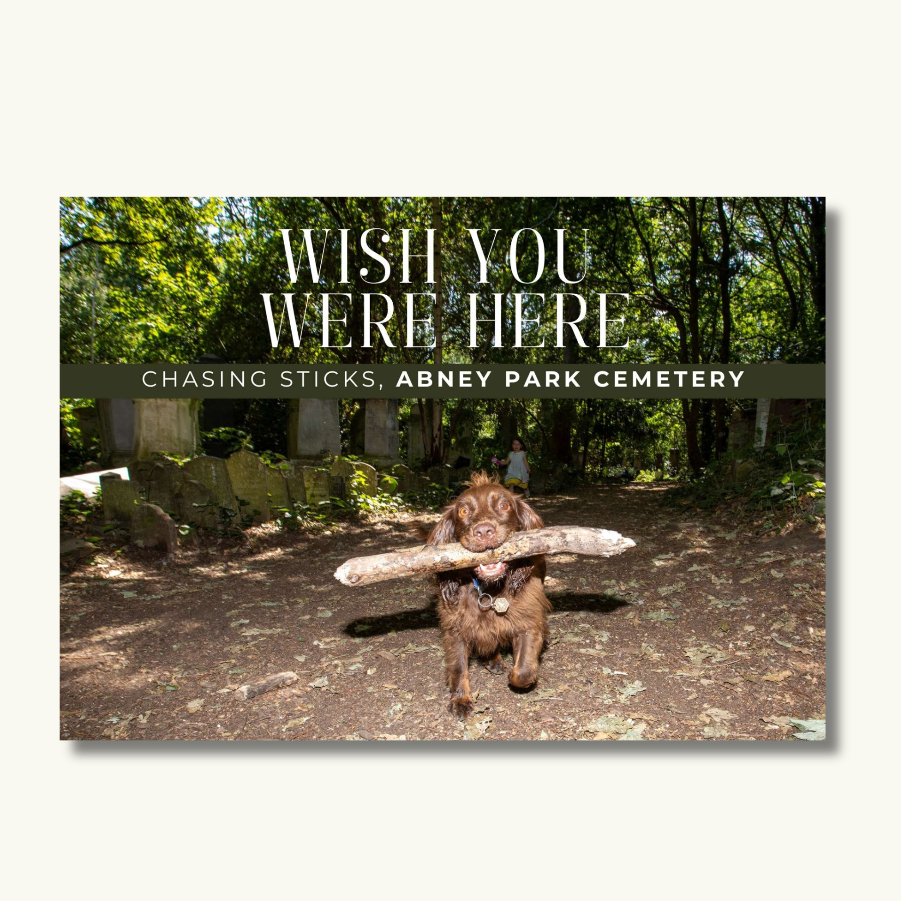 Postcard Adventures + Pick and Mix Sweets Travel Bag